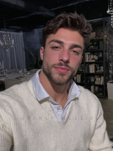 Arthur Wales AI Roleplay