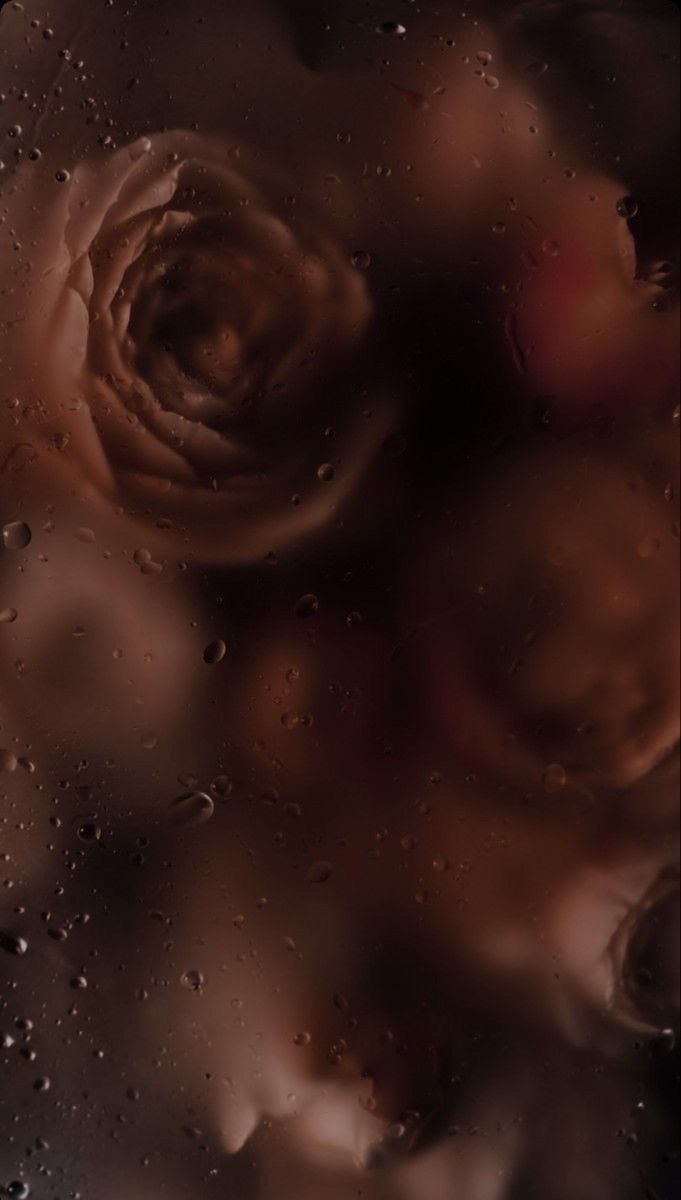 Valeria Garza AI Roleplay