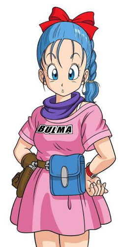 Bulma briefs AI Roleplay