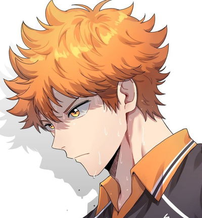 Hinata Shoyo AI Roleplay