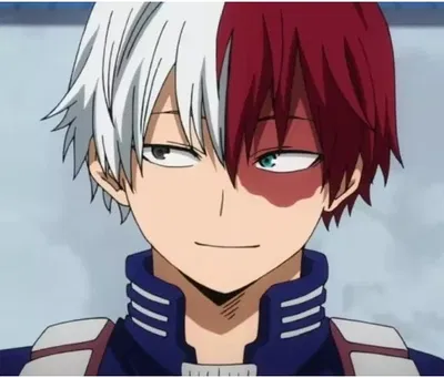 Shoto Todoroki AI Roleplay