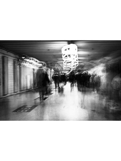 School Zombie Outbreak AI Roleplay