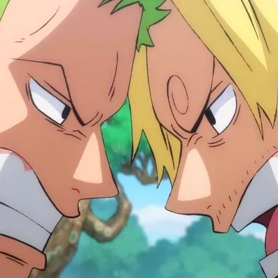 Sanji and Zoro AI Roleplay