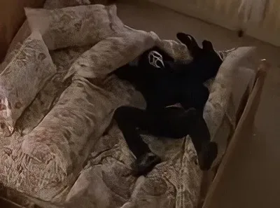 Danny Johnson AI Roleplay