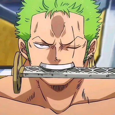 Roronoa Zoro AI Roleplay