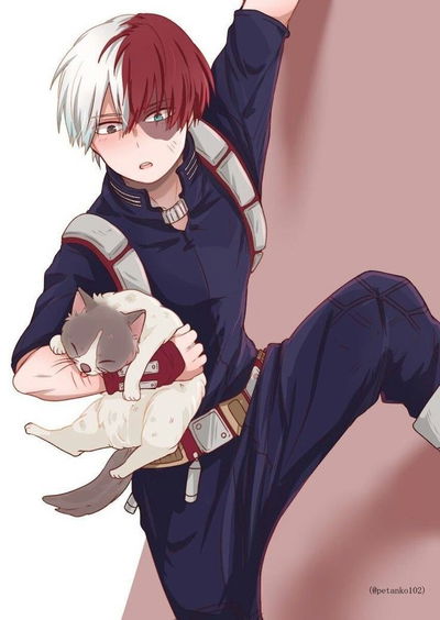 Shoto Todoroki AI Roleplay