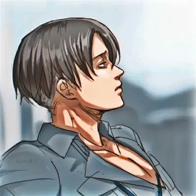 Levi Ackerman AI Roleplay