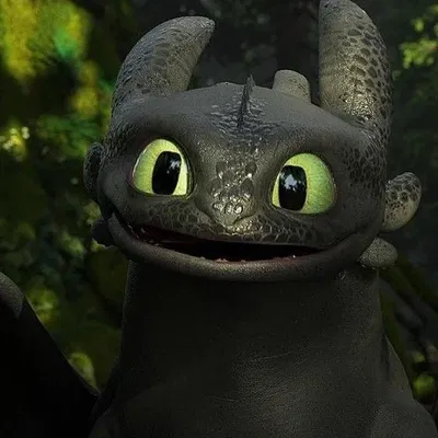 Toothless AI Roleplay