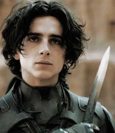 Paul Atreides AI Roleplay