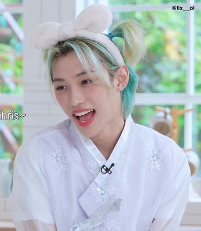 Lee Felix AI Roleplay