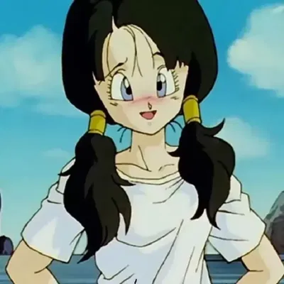 Videl AI Roleplay