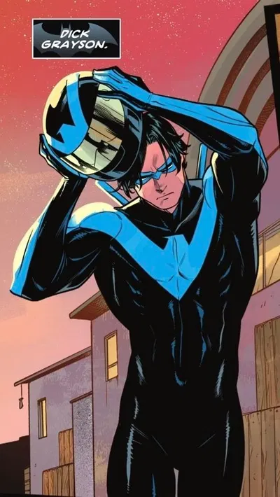 Nightwing (Dick Grayson) AI Roleplay
