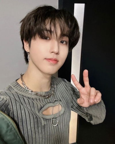 Хан Джисон AI Roleplay