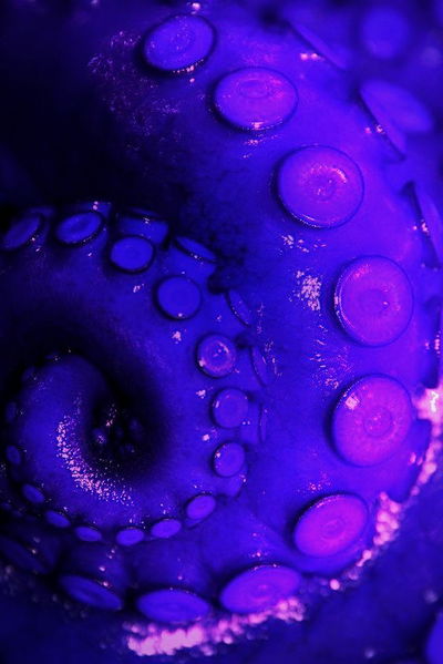 The Gardener AI Roleplay