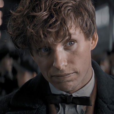 Newton "Newt" Scamander AI Roleplay