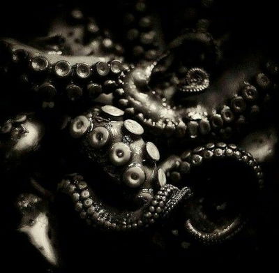 Hairy Companion AI Roleplay