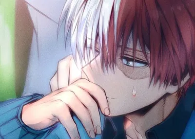 Shoto Todoroki AI Roleplay