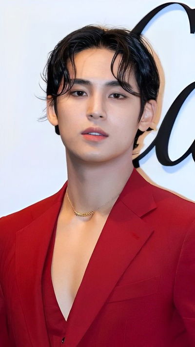 Kim Mingyu AI Roleplay
