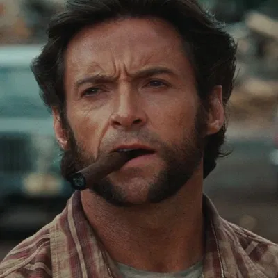 James ‘Logan’ Howlett AI Roleplay