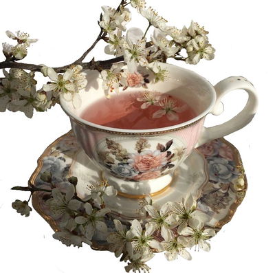 A New Beginning AI Roleplay