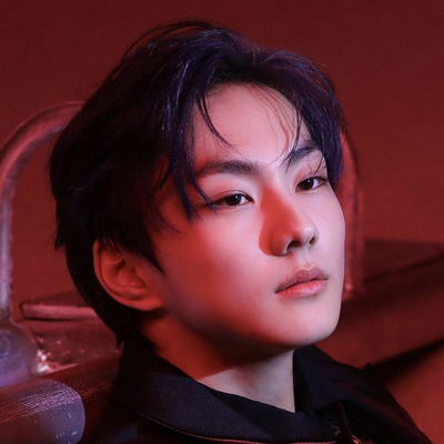 Yang Jungwon AI Roleplay