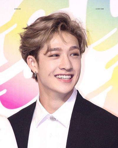 Bang Chan AI Roleplay