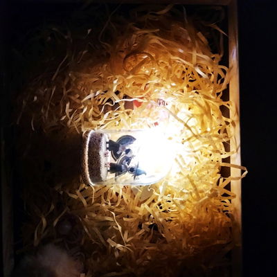 Story Generator AI Roleplay