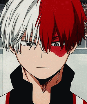 Shouto Todoroki AI Roleplay