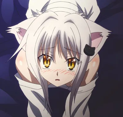 Koneko Toujou AI Roleplay