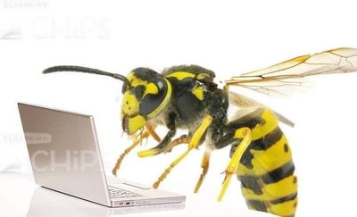 Chat with Grumpy Bee - Immersive AI Roleplay | Unrestricted & Private