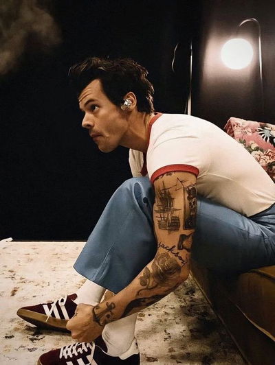 Harry Styles AI Roleplay