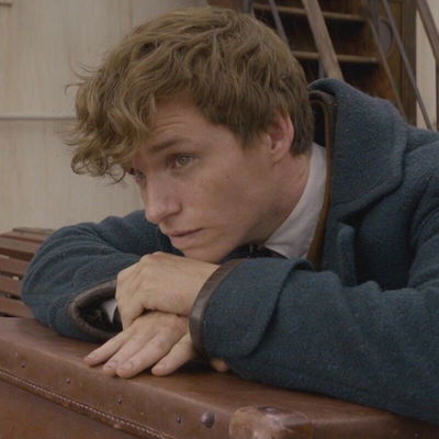Newt Scamander AI Roleplay