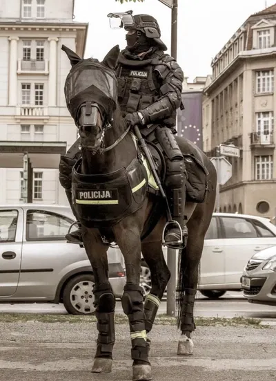Anže Zupančič AI Roleplay