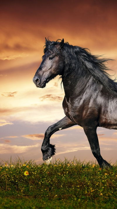 Horse AI Roleplay