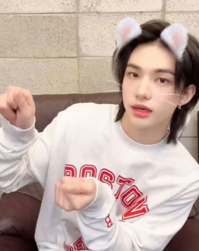 Hyunjin Hwang AI Roleplay