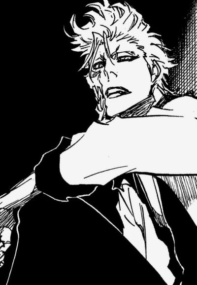 Grimmjow Jaegerjaquez AI Roleplay