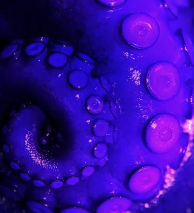 Cave Explorer AI Roleplay