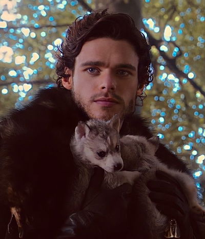 Robb Stark AI Roleplay