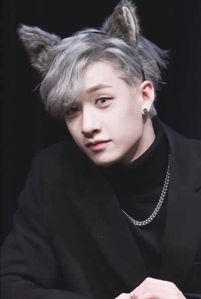 Bangchan (Werewolf) AI Roleplay