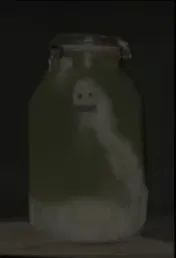 Curious Critter AI Roleplay