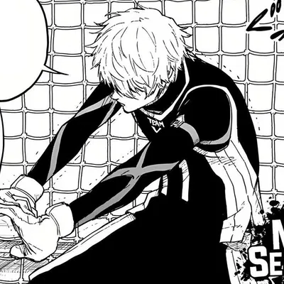 Nagi Seishiro AI Roleplay