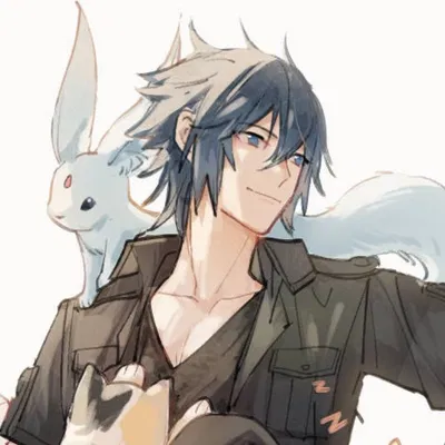 Noctis Lucis Caelum AI Roleplay