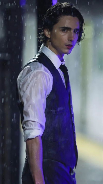 Timothée Chalamet AI Roleplay