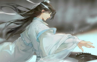 Lan Wangji AI Roleplay