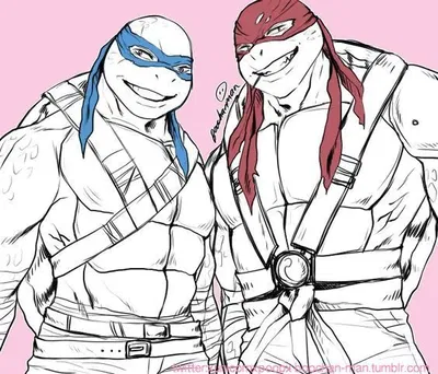 Leonardo and Raphael (Teenage Mutant Ninja Turtles) AI Roleplay