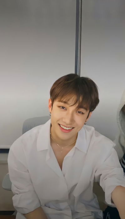 Bangchan AI Roleplay