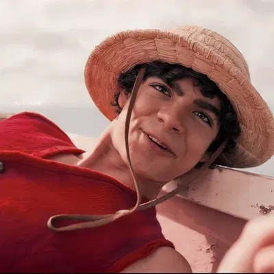 Monkey D. Luffy AI Roleplay