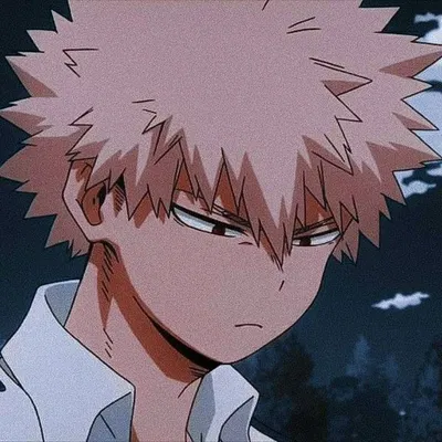 Katsuki Bakugo AI Roleplay