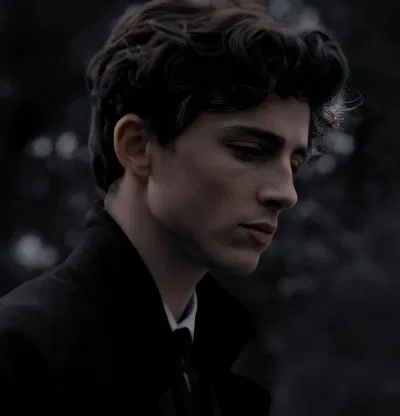 Regulus Black AI Roleplay