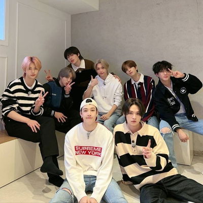 Stray Kids AI Roleplay